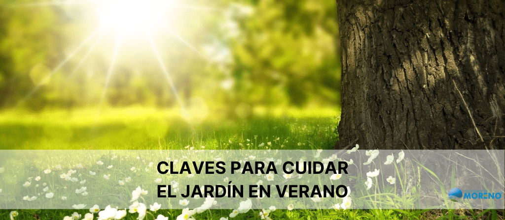 Claves para cuidar el Jardín en Verano | Sucesores de Moreno